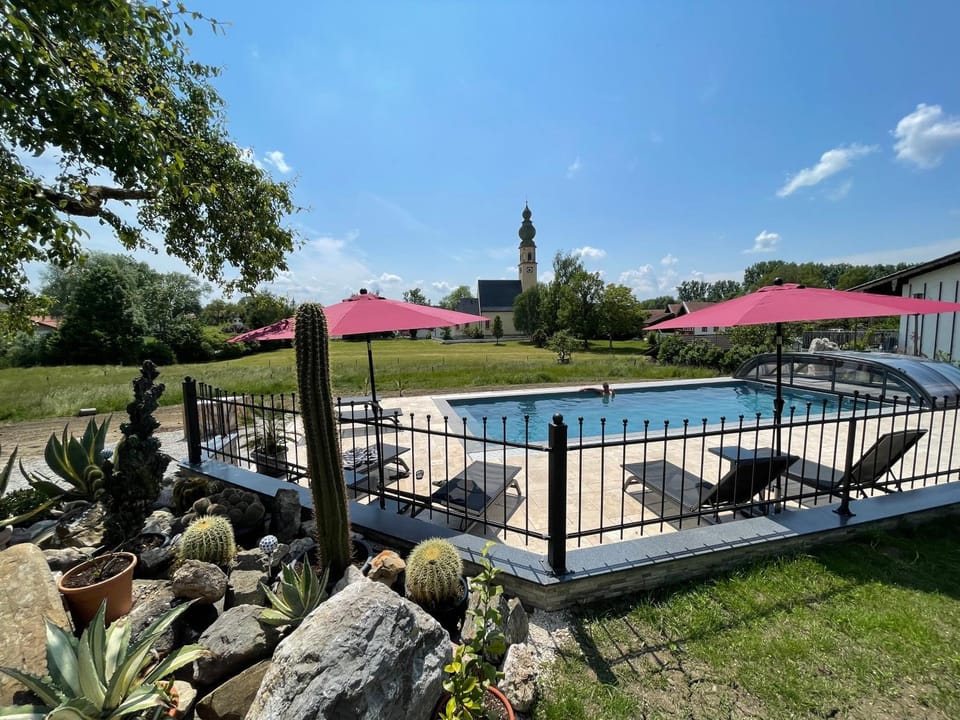 Spring, Day, Natural landscape, Garden, Garden view, Pool view, Swimming pool