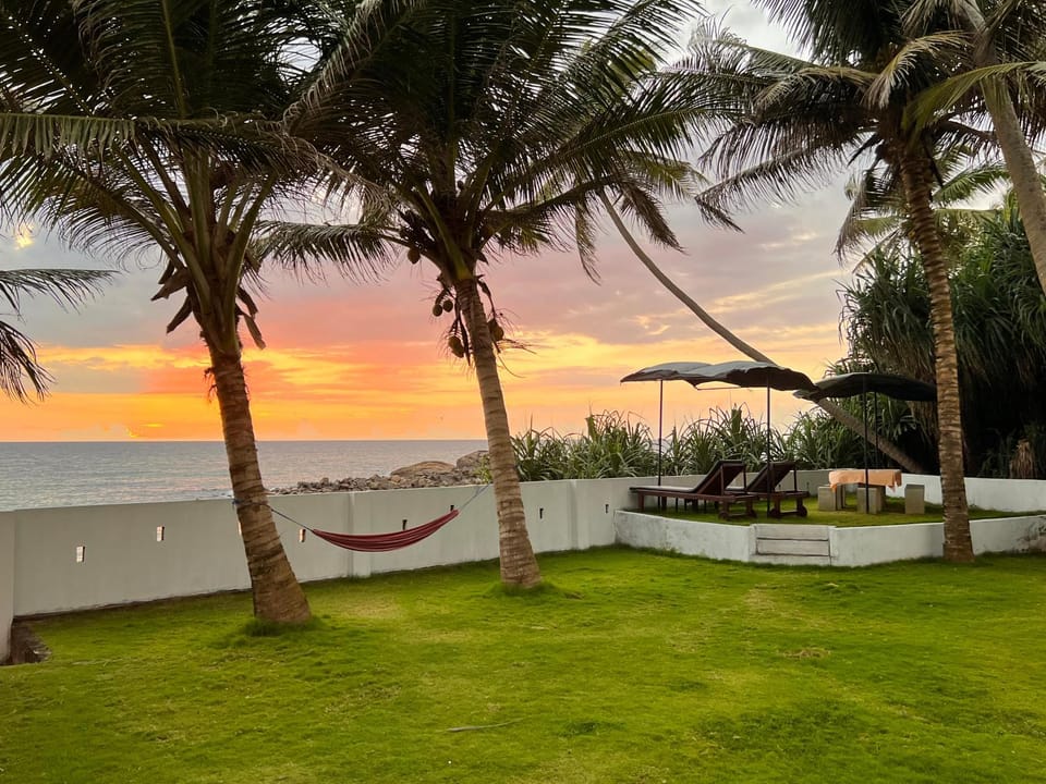 Garden, Garden, Beach, Garden view, Sea view, Sunset, sunbed