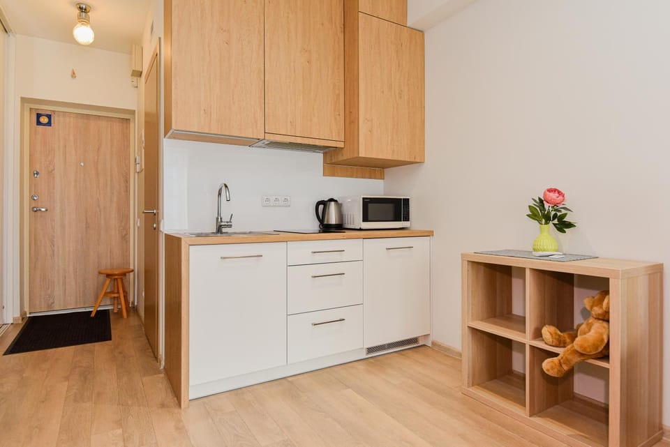 Kitchen or kitchenette, minibar, stove