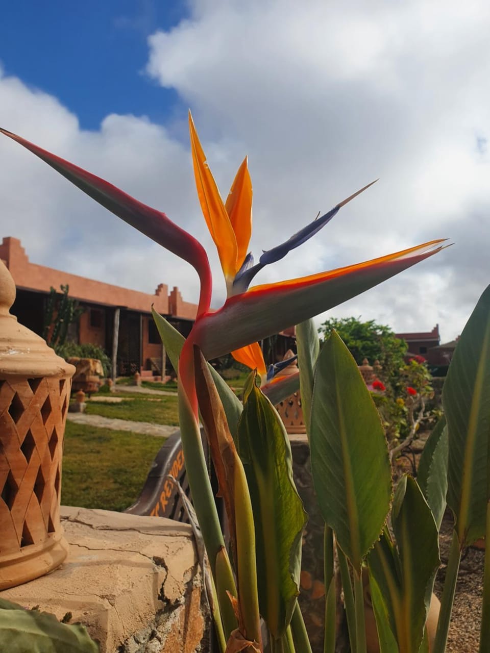 Le Nid d'Aigle Inn in Souss-Massa