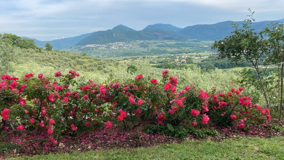 B&B da Odila Bed and Breakfast in Lazio
