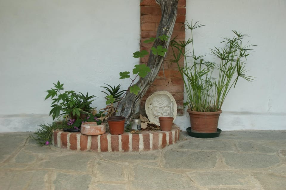 Garden, Garden view, Internal: Not applicable to any particular room
