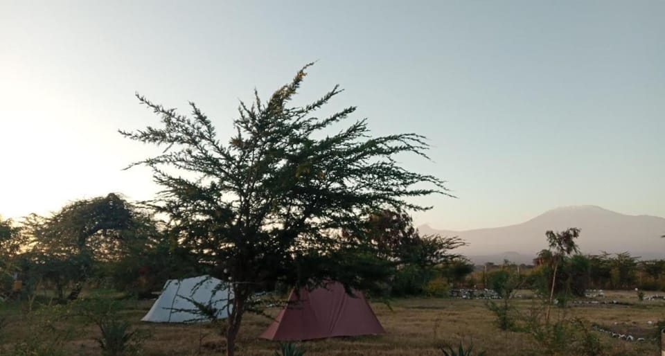 Bed, Summer, Living room, Bedroom, On site, Guests, Time of day