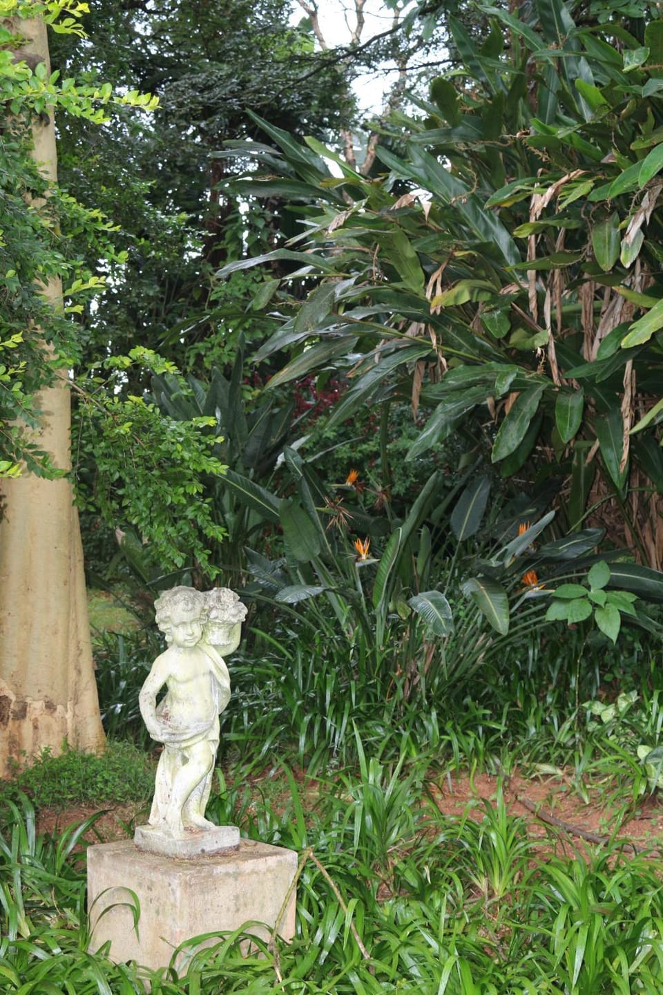 Property building, Garden view
