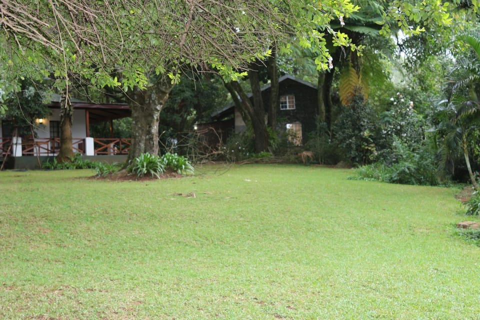 Property building, Garden view