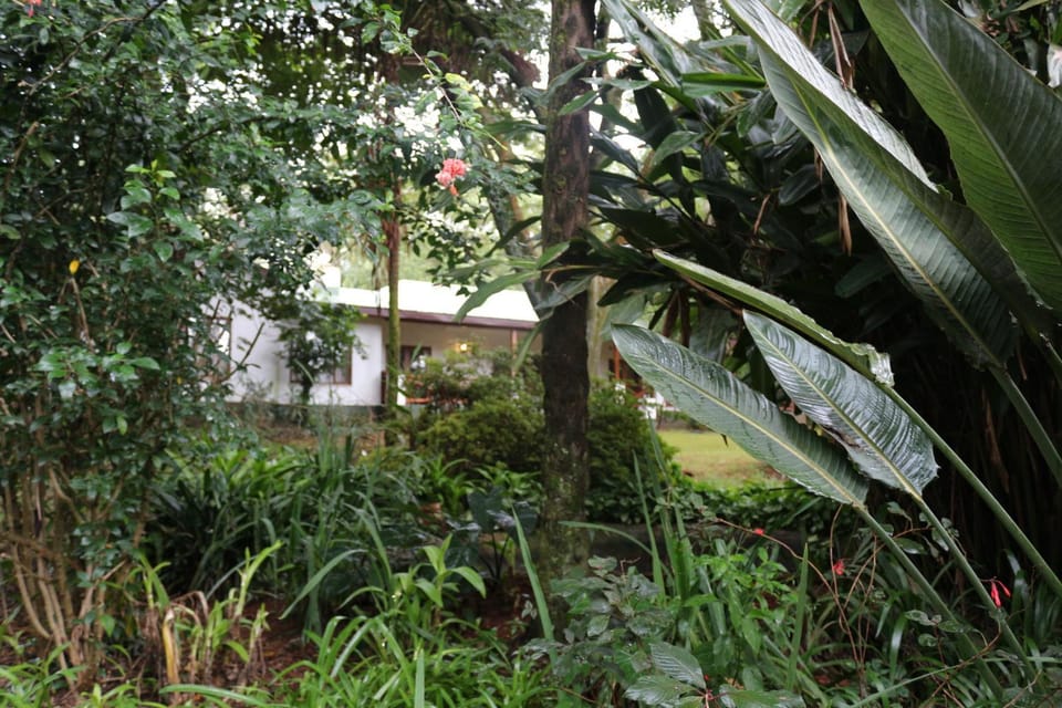Property building, Garden view