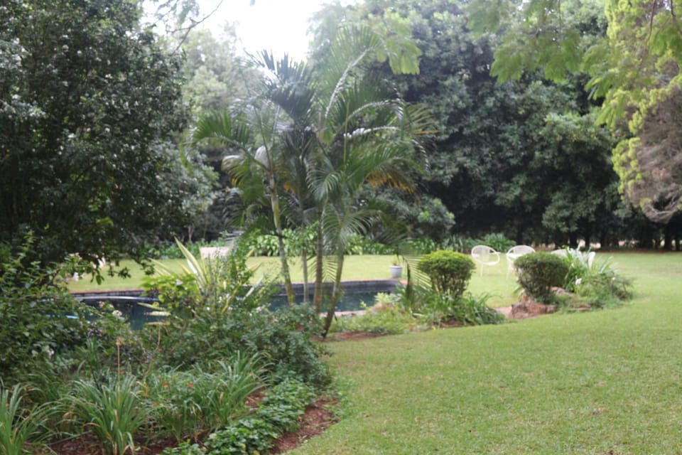 Property building, Garden view