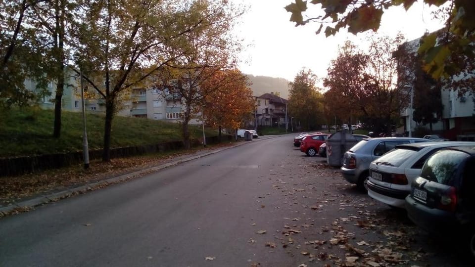 Neighbourhood, Location, Parking