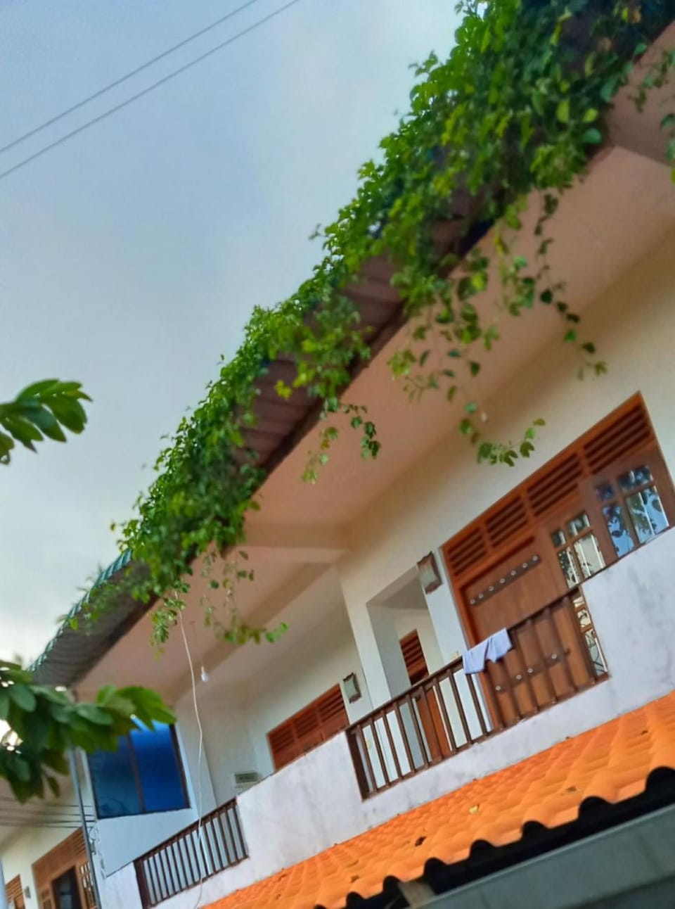 Green View Guest Bed and Breakfast in Mirissa