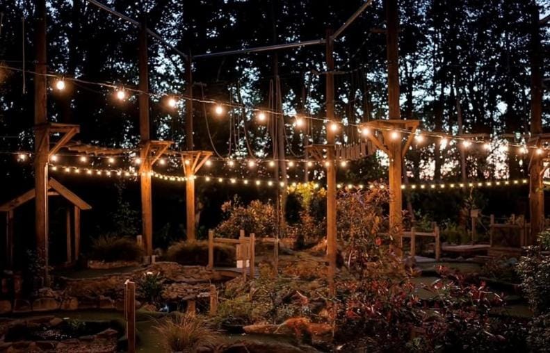 Spring, Night, Natural landscape, Garden, Garden view