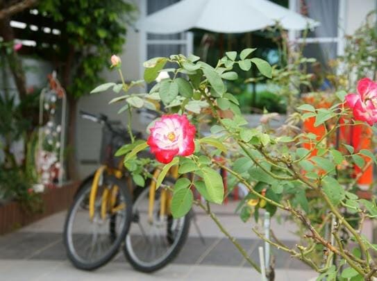 Walk in the Wind Homestay Vacation rental in Taiwan, Province of China