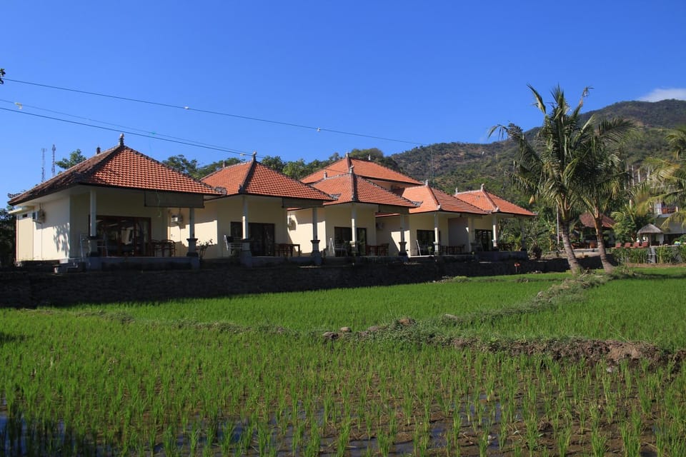 Property building, Day, Natural landscape, Garden, Garden