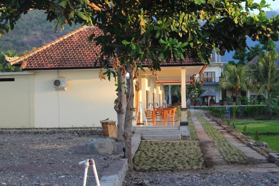 Property building, Day, Garden