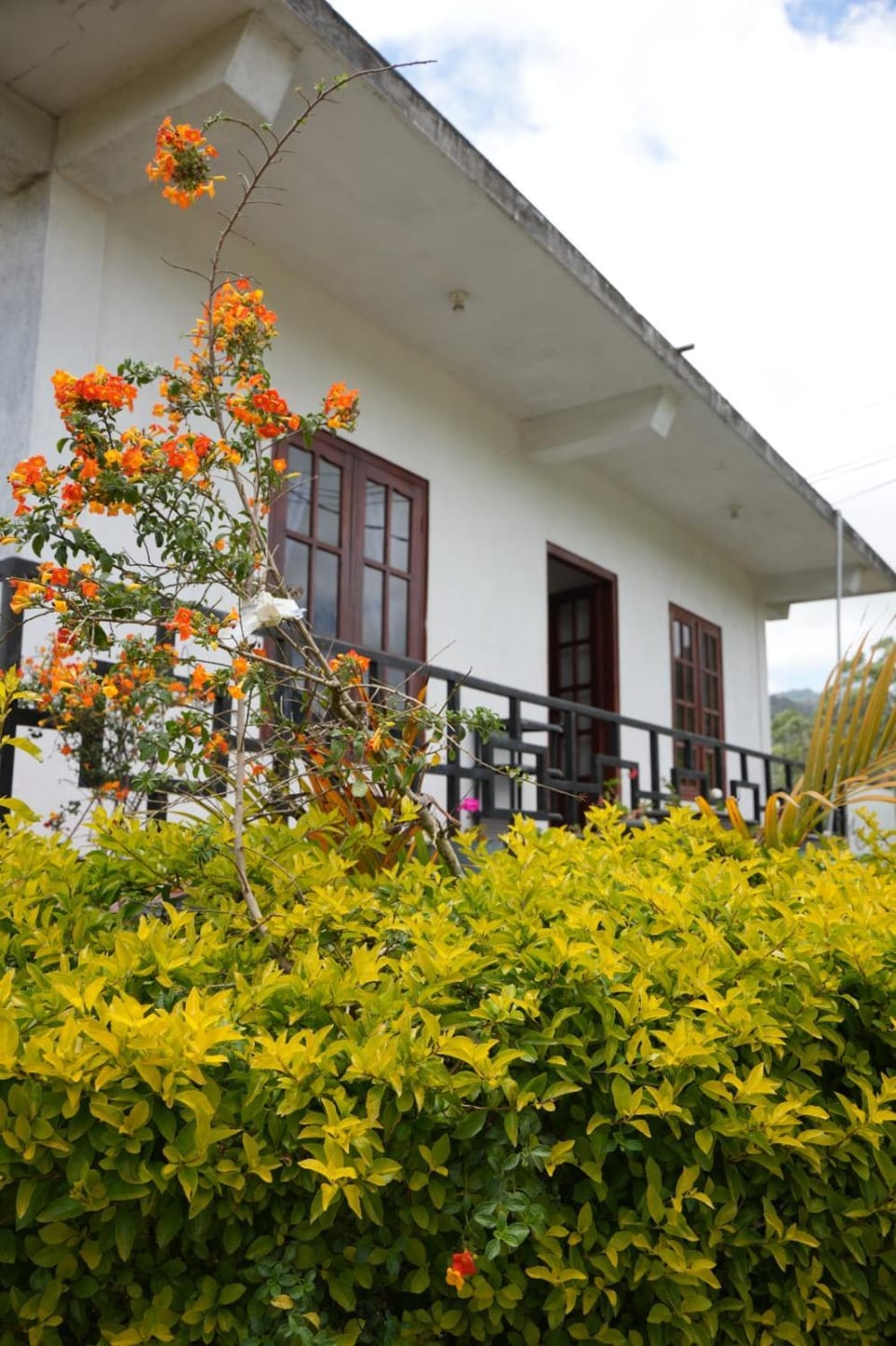 The Train View Bed and Breakfast in Nuwara Eliya