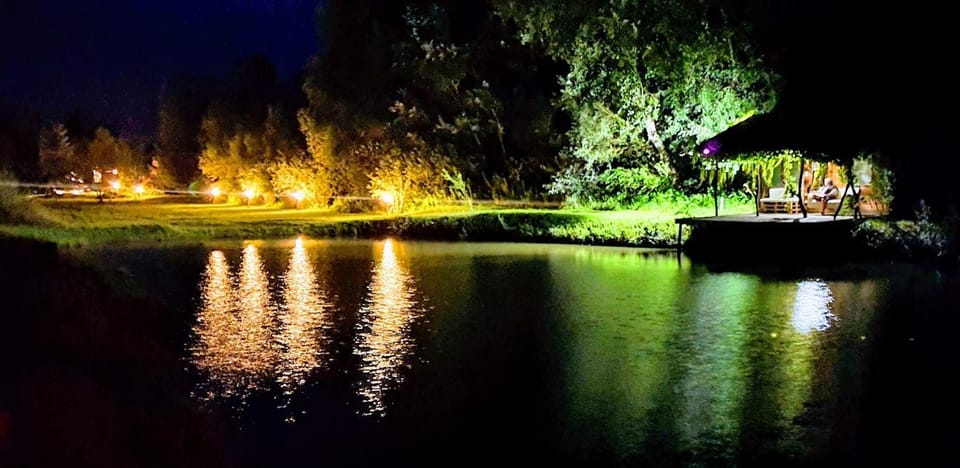 Night, Natural landscape