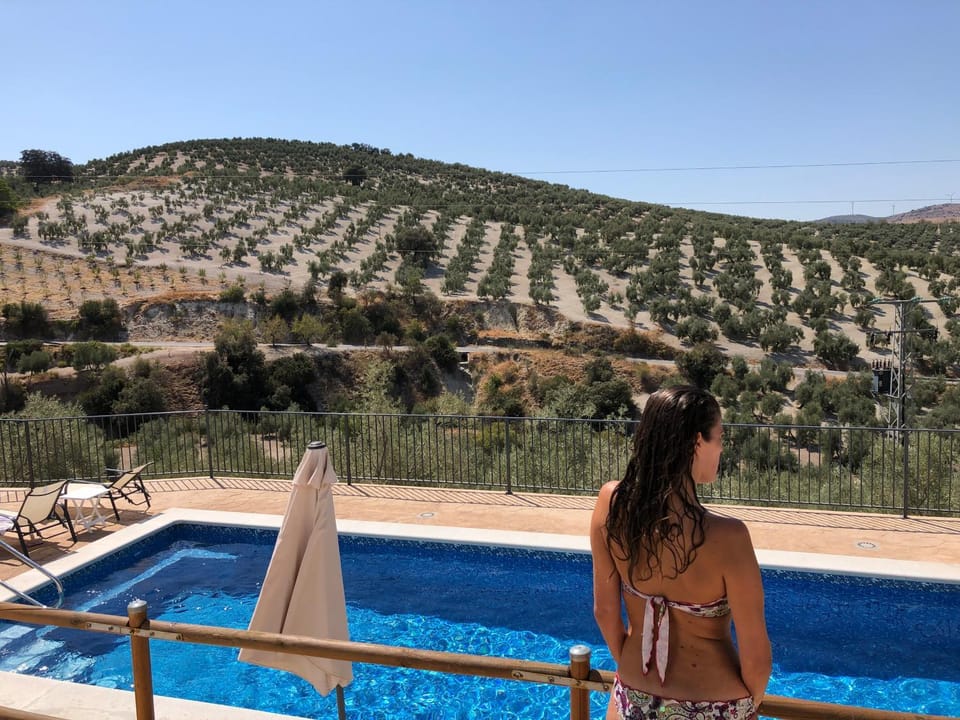 People, Pool view, Swimming pool
