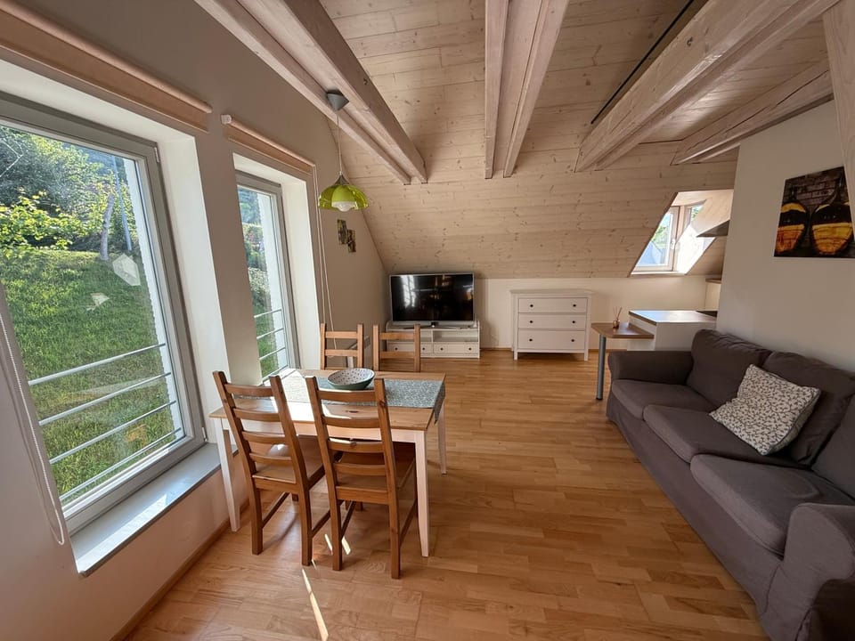 Apartmán U Venuše Apartment in South Moravian Region