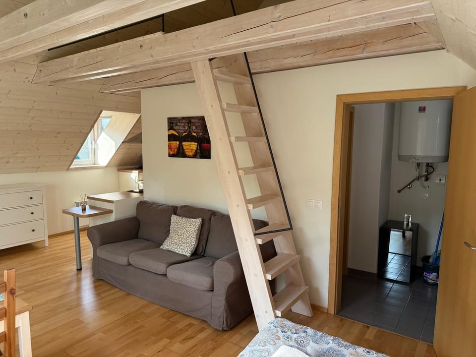 Apartmán U Venuše Apartment in South Moravian Region