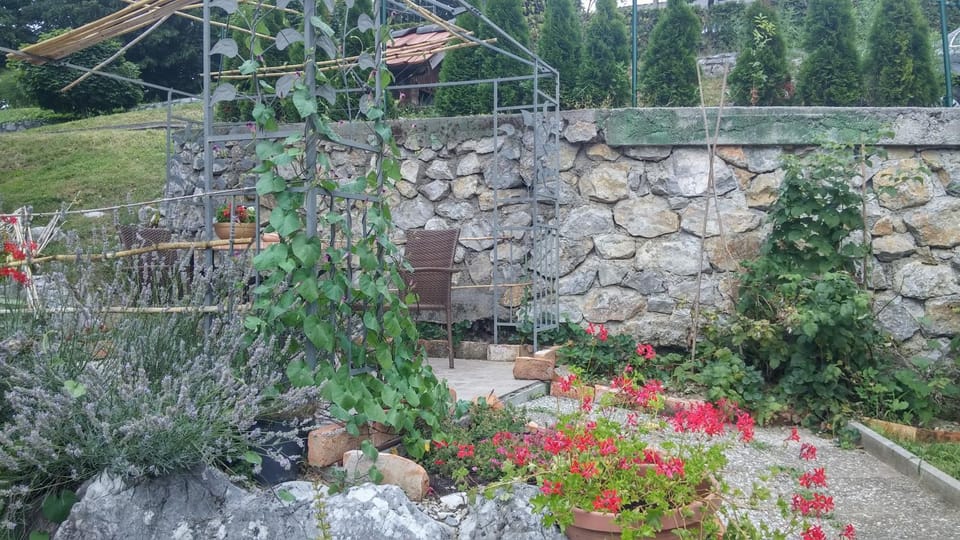 Patio, Day, BBQ facilities, Garden, On site, Garden view