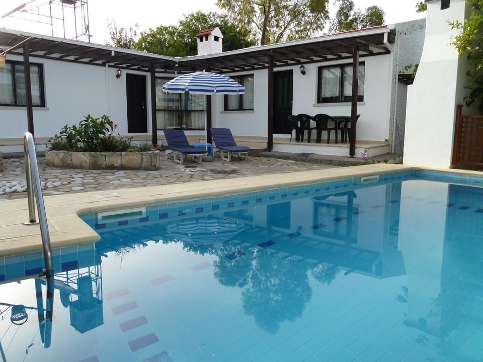 Garden, Pool view, Swimming pool, sunbed