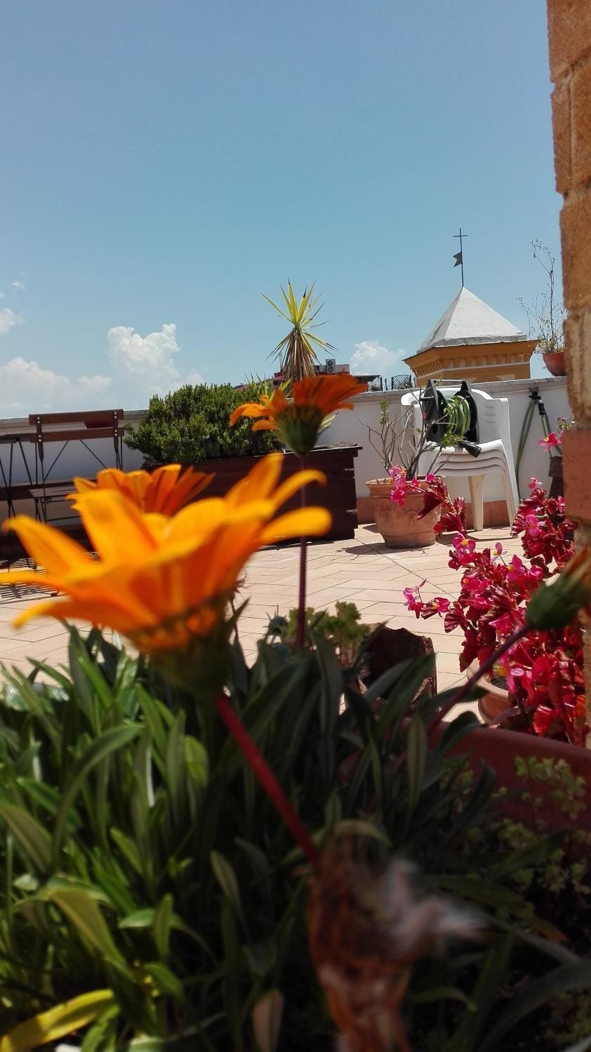 Patio, Balcony/Terrace