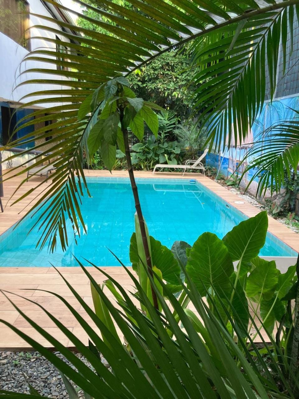 Swimming pool