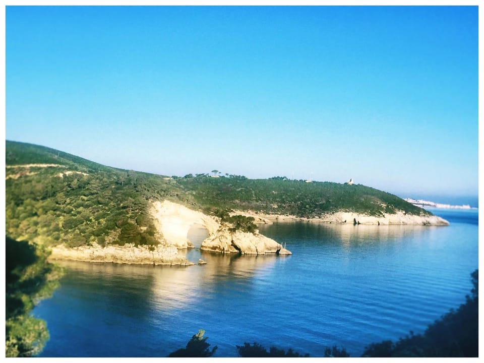 B&B Villa Carla Bed and Breakfast in Province of Foggia