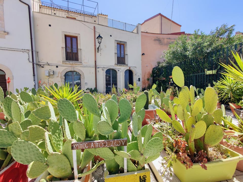 Garden, Garden view