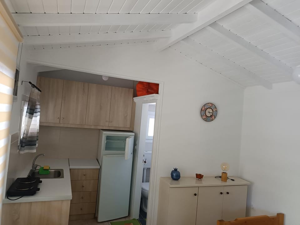 Vasilis Studios Apartment in Euboea