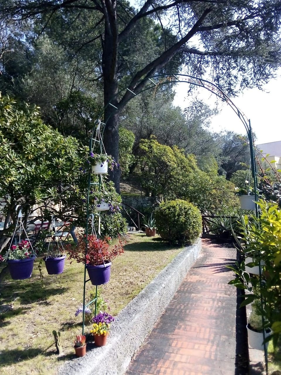 Day, Natural landscape, Garden, Garden view