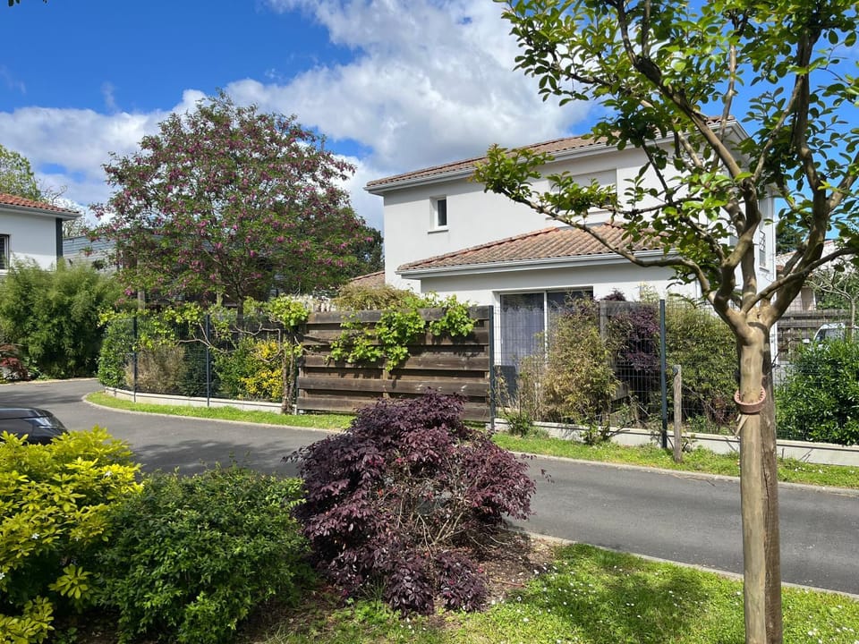 Spring, Garden, Garden view
