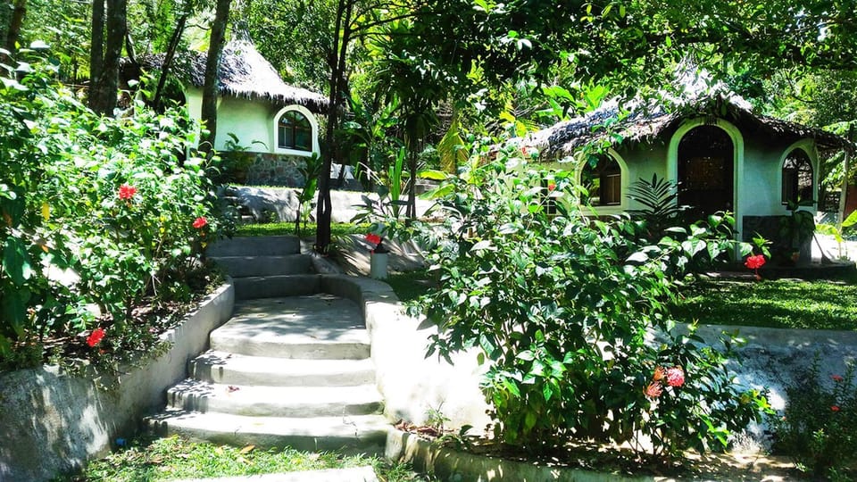 Garden view
