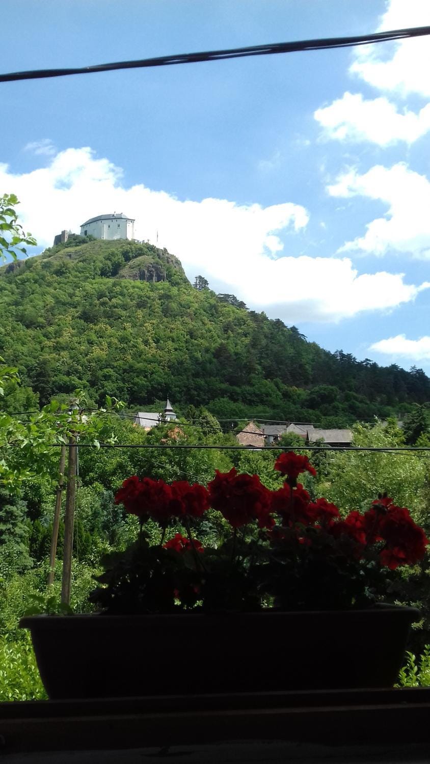 Landmark view