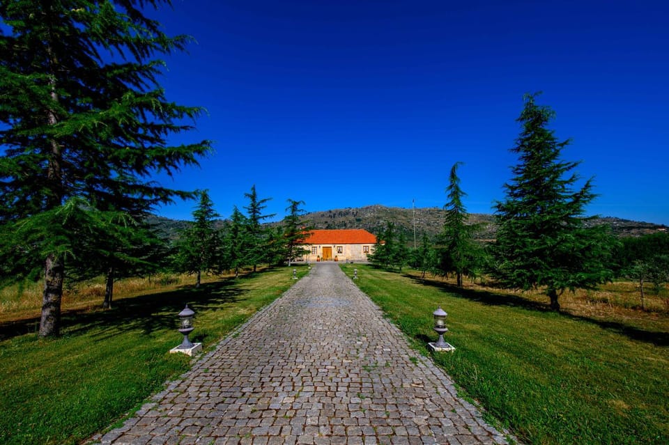 Natural landscape, Garden, View (from property/room), Mountain view, Street view