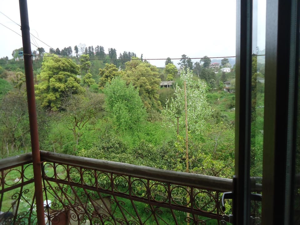 Guesthouse Sesili Bed and Breakfast in Batumi