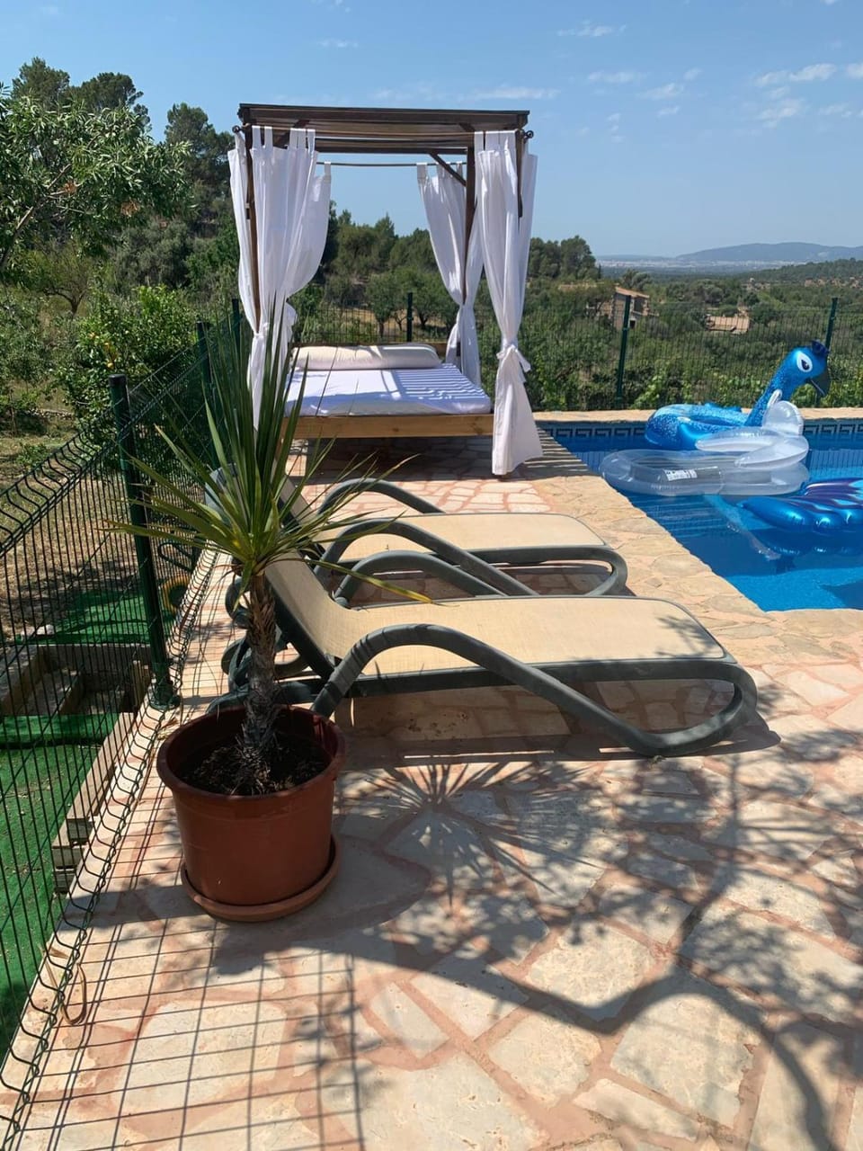 Patio, Solarium, Swimming pool