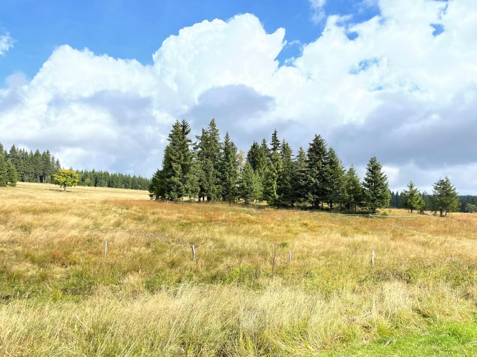 Natural landscape
