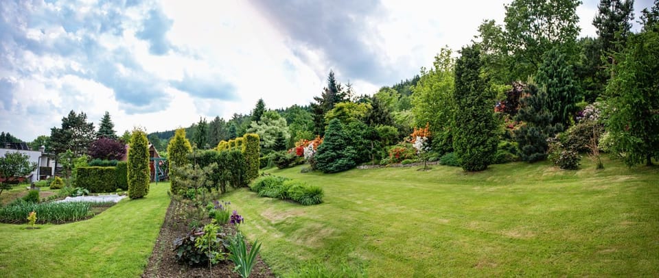 Garden view