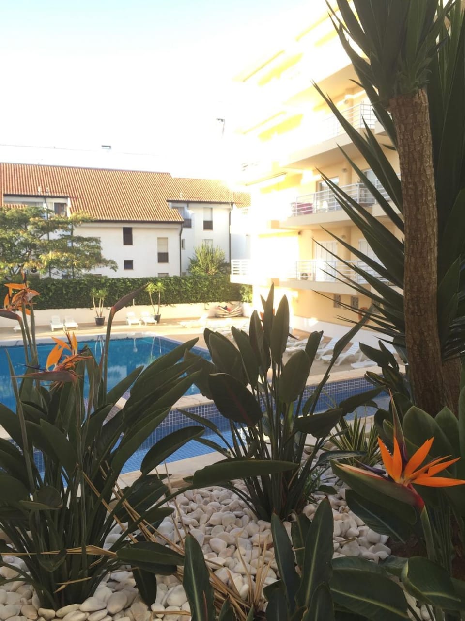 Marina Vilamoura Apartment Apartment in Quarteira