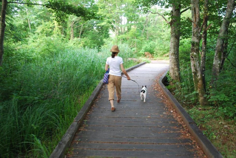 Off site, Pets