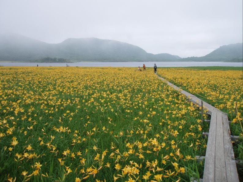 Natural landscape