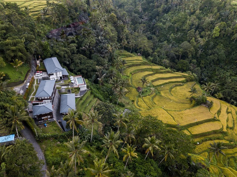Property building, Bird's eye view
