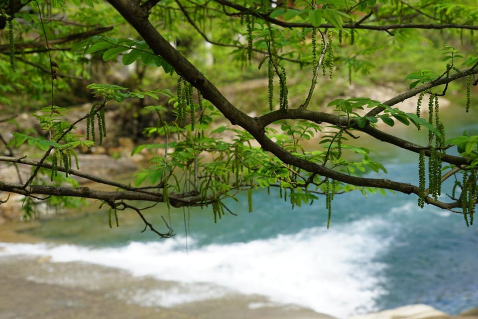 River view