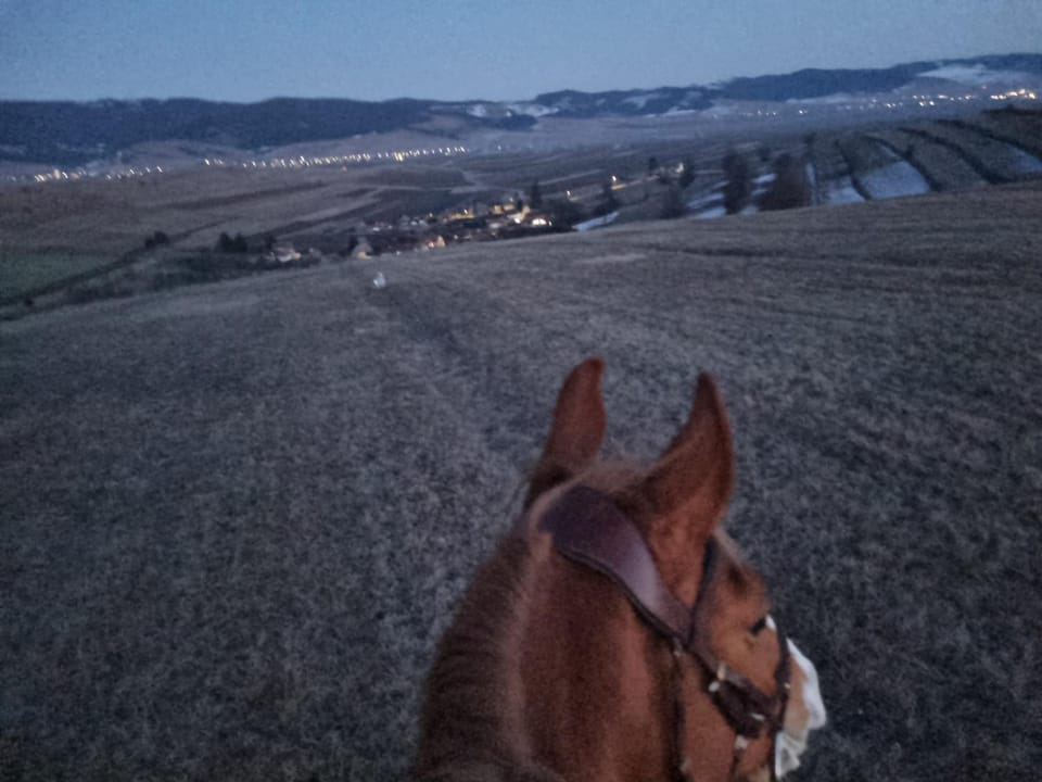 Horse-riding