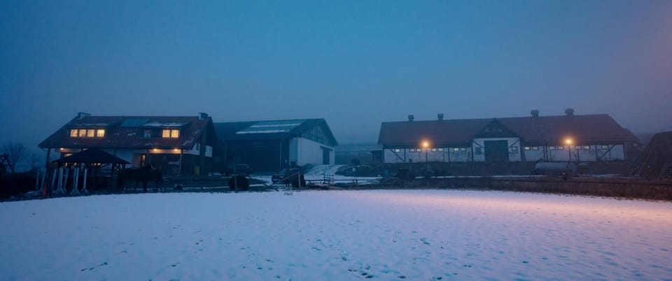 Property building, Night, Winter, Horse-riding