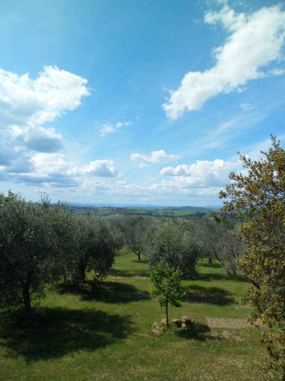 Natural landscape, View (from property/room)