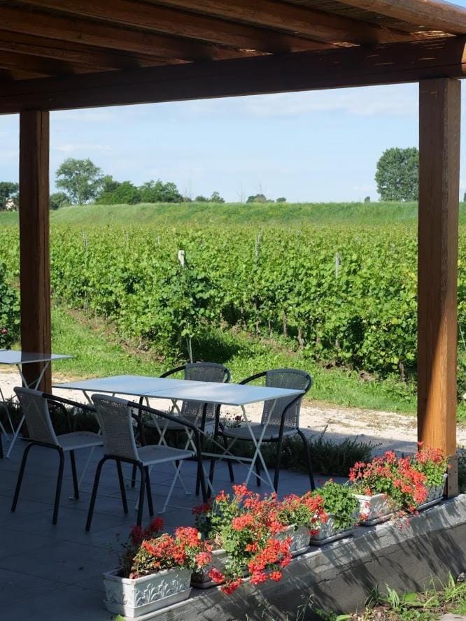 Garden, Garden view, Italian breakfast