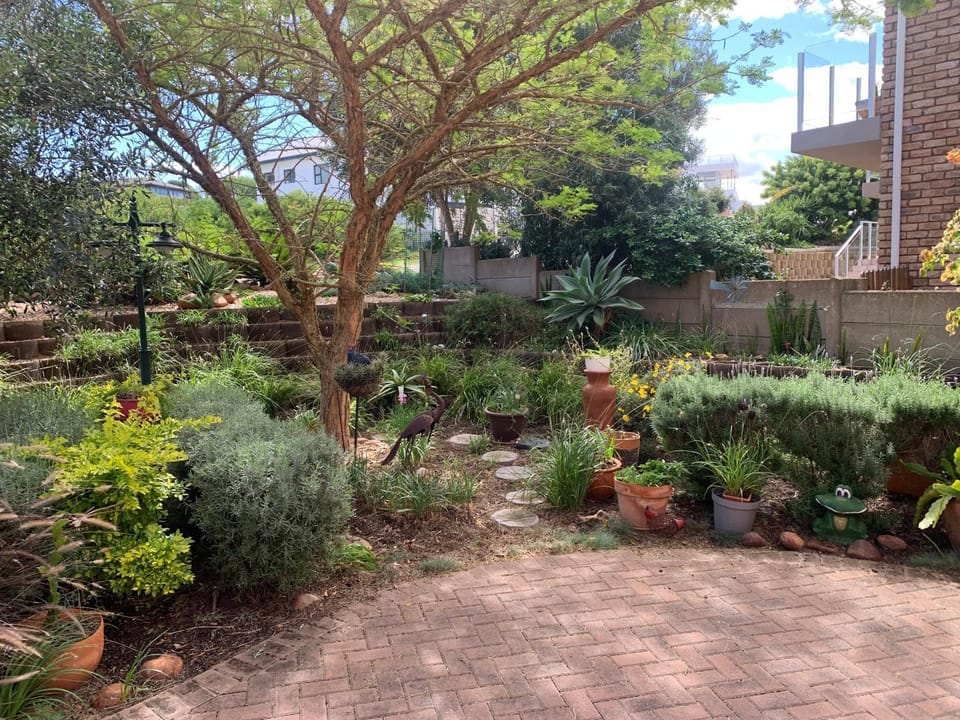 The Owl House Apartment in Western Cape