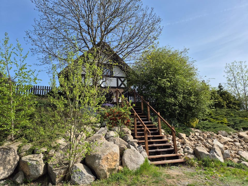 Spring, Day, Garden, Garden view