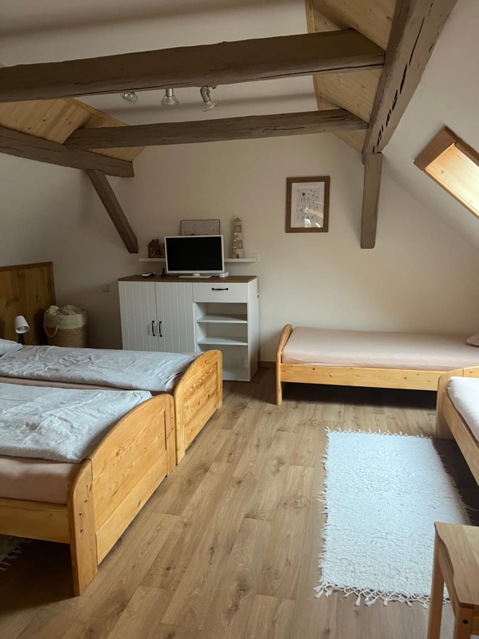Apartmánek u Špičáku Apartment in Czechia